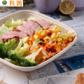 Disposable Biodegrade Bagasse Sugarcane Bento Plate